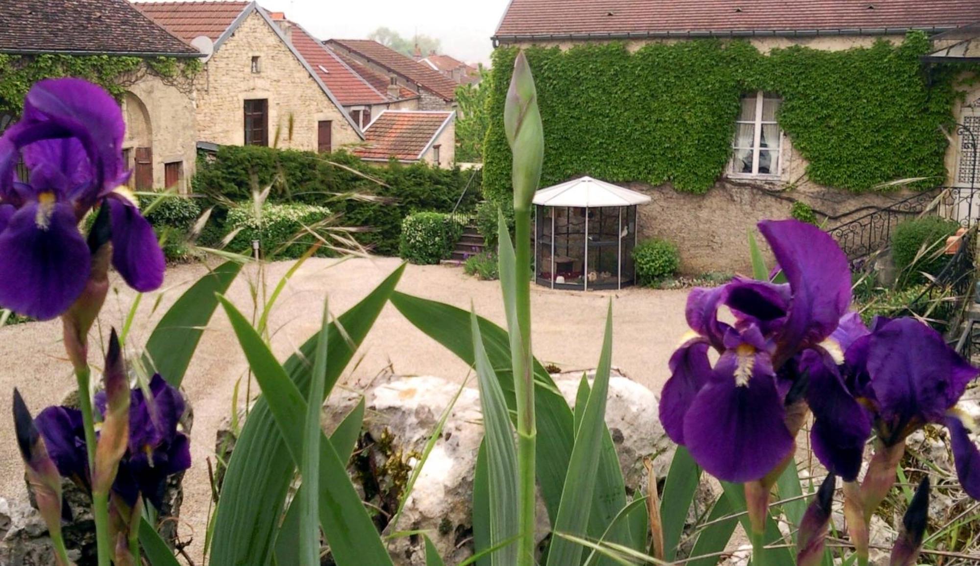 Le Chateau De Prauthoy Eksteriør bilde